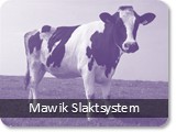 Mawik Slaktsystem